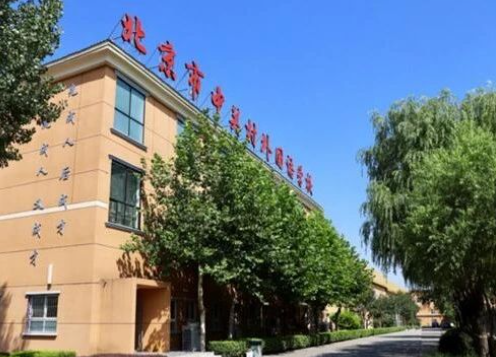 北京市中關(guān)村外國語學(xué)校2023年學(xué)費(fèi)標(biāo)準(zhǔn)