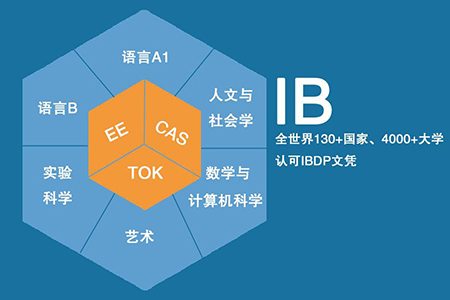 IB課程是什么及如何學習IB課程？