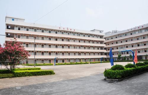 國際學校擇校，家長必知的擇校干貨指南