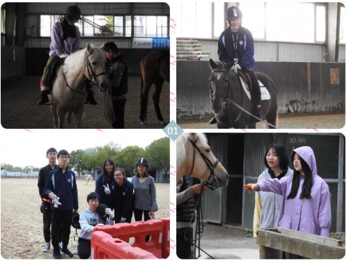 華二紫竹萊蒙尼亞馬術體驗課.jpg