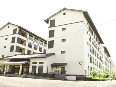綠城常春藤國(guó)際教育