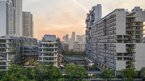 深圳國際學校第一梯隊學校是哪些？