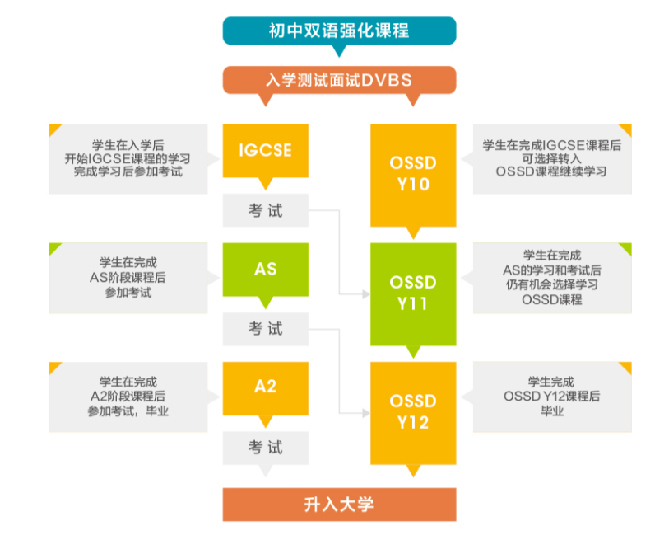 大連文谷國際部2025年招生簡章！